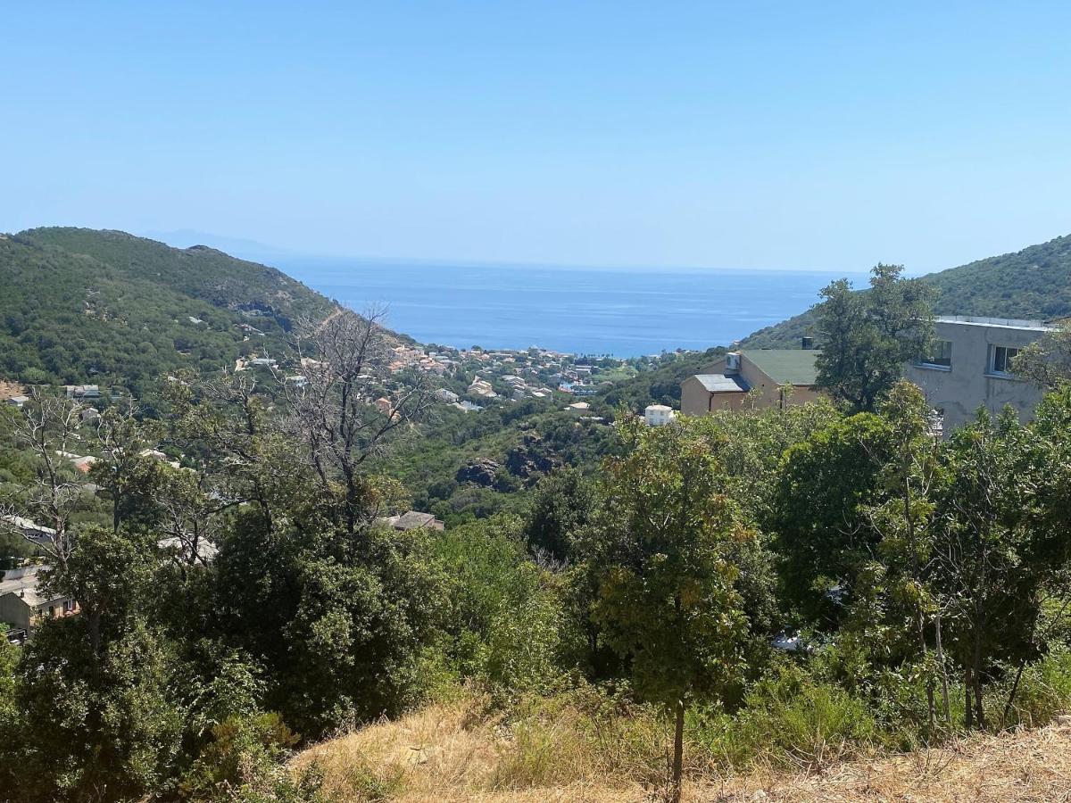 Holiday home U Cavallu - Luxe Entre Et Montagne *